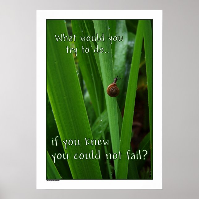 Om du inte kunde Misslyckas Poster utskrift (Framsidan)