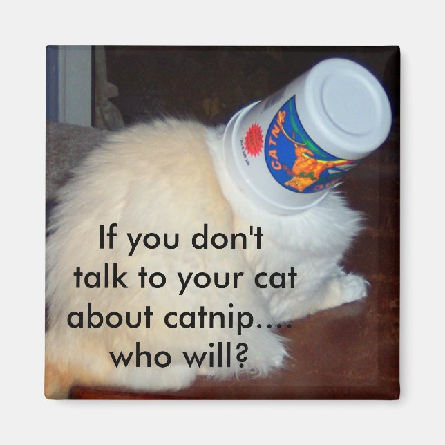 Om du inte pratar med din katt om att fånga...som magnet (Framsidan)