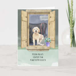 Om du inte Tittar Goldendoodle-Hund Kort
