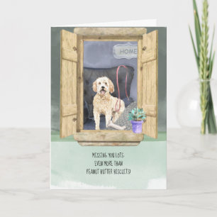 Om du inte Tittar Goldendoodle-Hund Kort