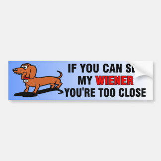 Om du kan se min Wienerhundbildekal Bildekal