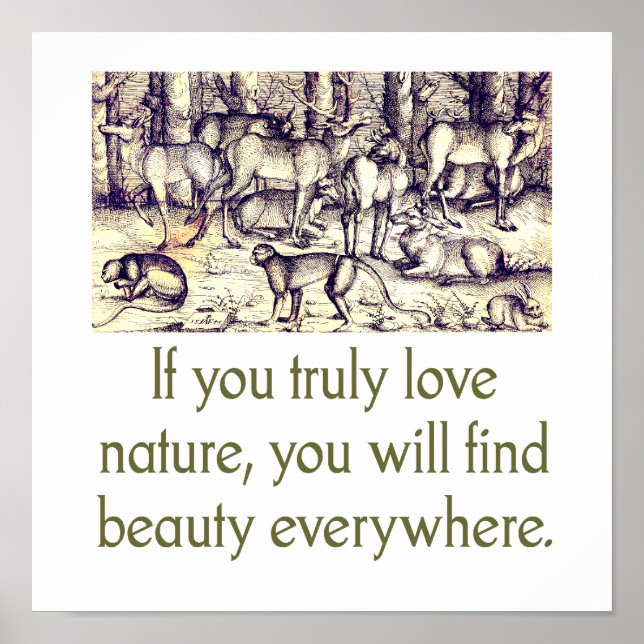Om du verkligen använder Kärlek-naturen - citat Poster (Framsidan)