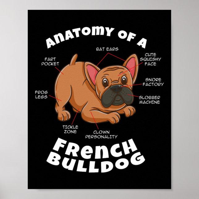 Om en fransk bulldogg  poster (Framsidan)