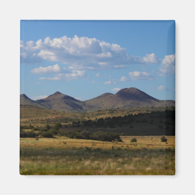 Om endast en varm - Prescott Valley, AZ Magnet (Framsidan)