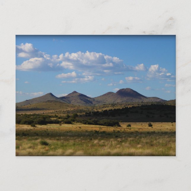 Om endast en varm - Prescott Valley, AZ Vykort (Framsida)