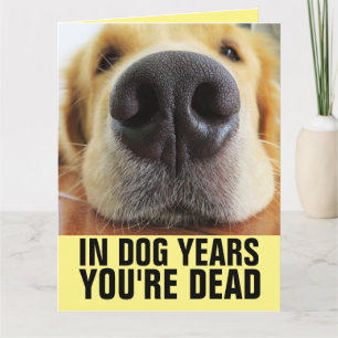OM HUND ÄR DU DÖD FELBIG BIRTHDAY-KORT KORT