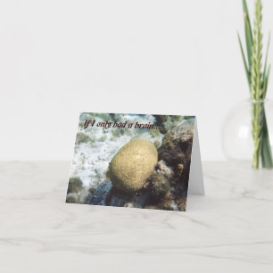 Om jag bara hade en hjärna - jag är ledsen kort