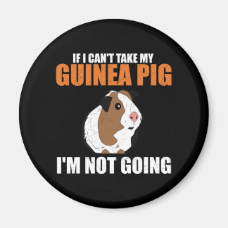 Om jag inte kan ta min Guinea Gris Magnet