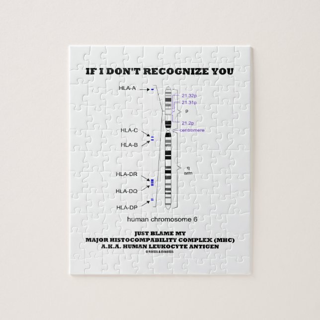 Om jag inte känner igen, klandrar du precis min pussel (Vertikal)