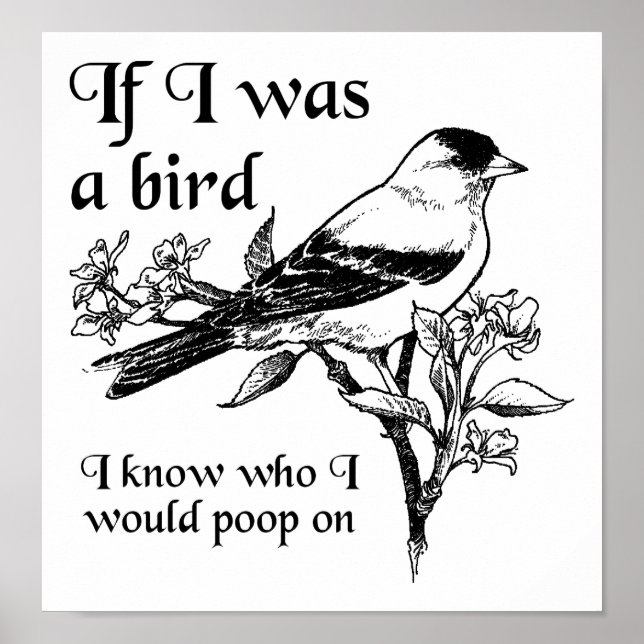 Om jag var en fågellös Poster (Framsidan)