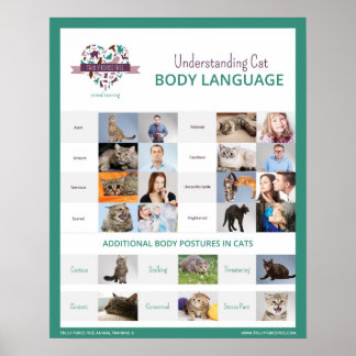 Om Kat Body Language 16 x 20 Poster