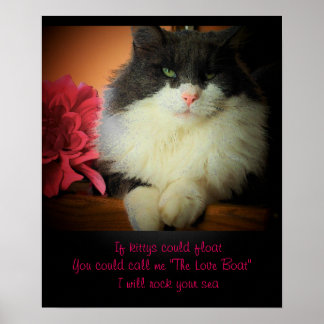 Om katter kan flyta poster