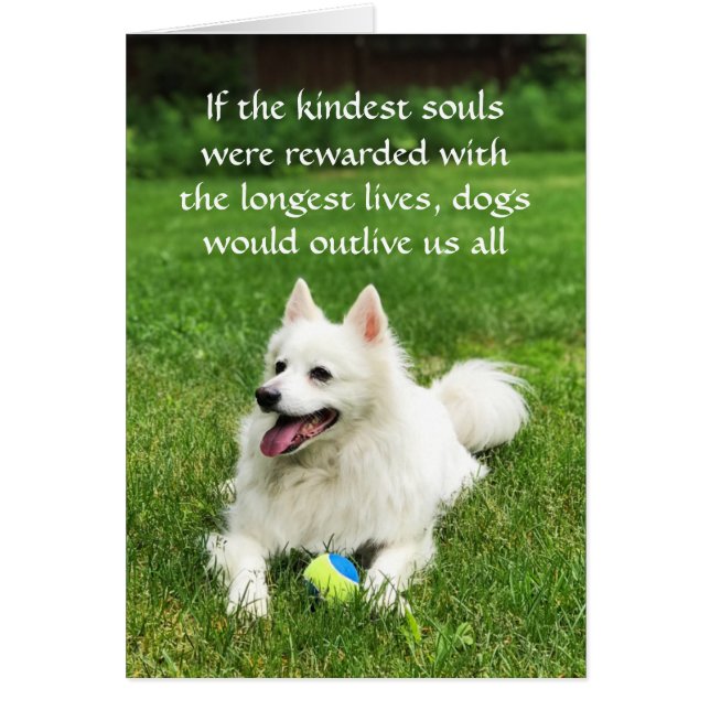 Om Kindest själar - 5 tum x 7 tum Art Card Hälsningskort (Framsidan)