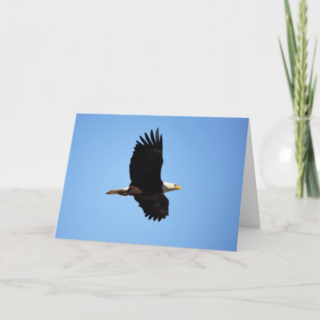 Om kortet för Vinge Kort (Framsida)