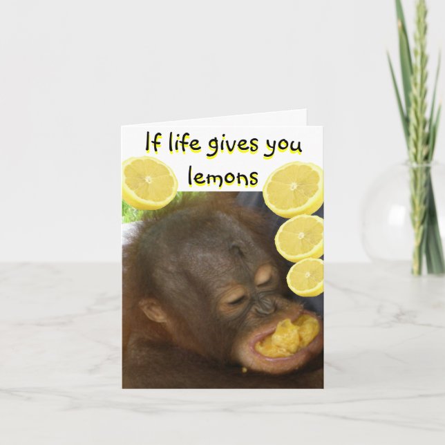 Om Life Ge du Lemons Kort (Framsida)