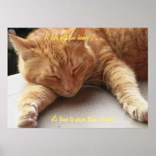 Om liv får för skurkrollkattaffischen poster