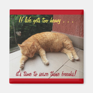 Om livet blir för tungt inspirationsmagnet (katt) magnet