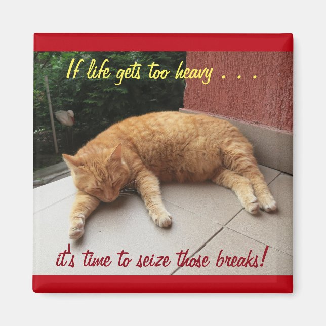 Om livet blir för tungt inspirationsmagnet (katt) magnet (Framsidan)