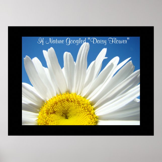 Om Naturen Googlade "Daisy Flower" konsttryck gåvo Poster (Framsidan)