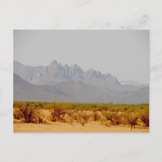 om vägen till Lordsburg, NM Vykort (Framsida)