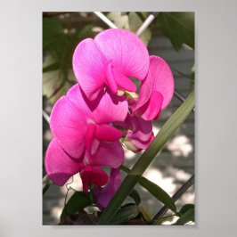 Omakulerat Sol och imponerande belysning Poster