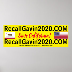 omallgavin2020 36 x 12 poster