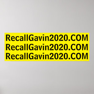 omallgavin2020 36x12 poster