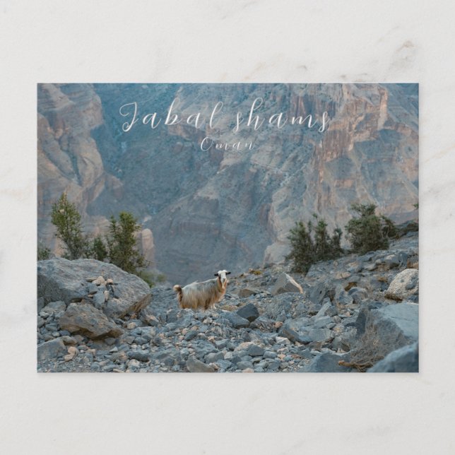 Oman Jabal Shams vykort (Framsida)