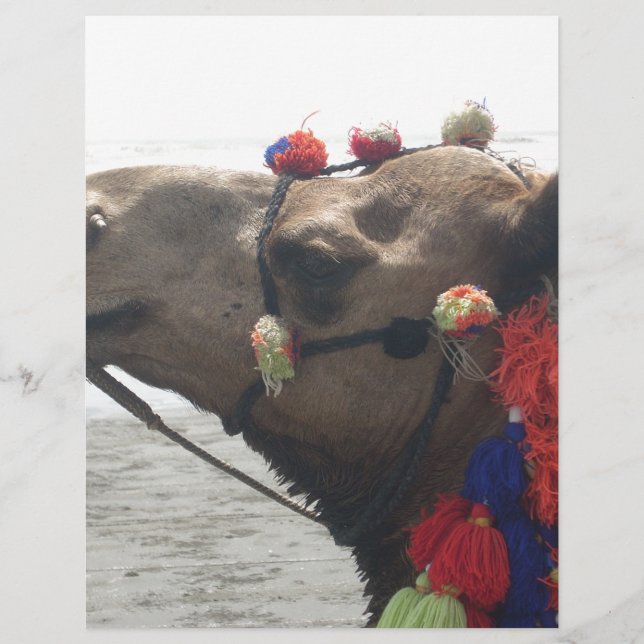 Oman! Muscat (Framsida)