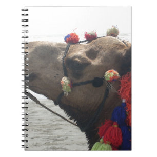 Oman Muscat Camel Photo Art Skriv ut Anteckningsbok Med Spiral