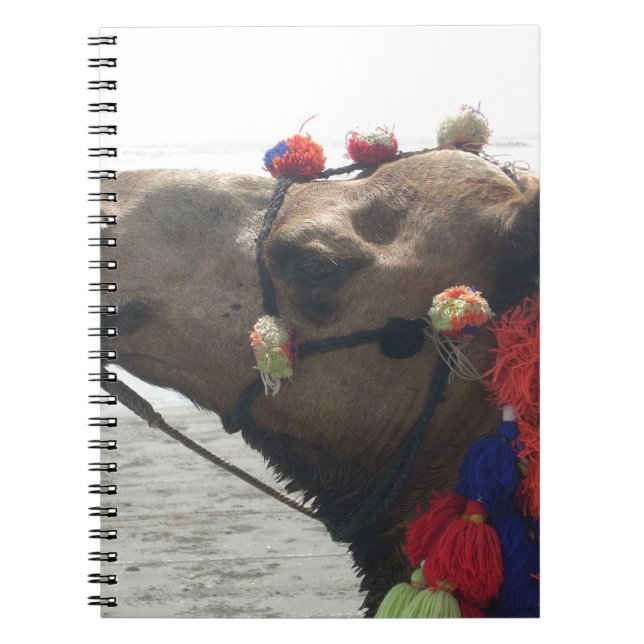 Oman Muscat Camel Photo Art Skriv ut Anteckningsbok Med Spiral (Framsidan)