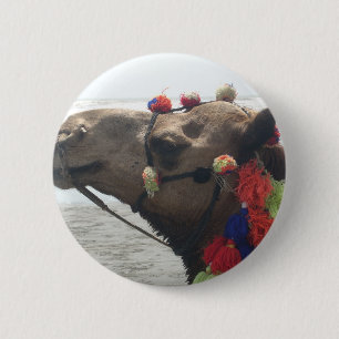 Oman Muscat Camel Photo Art Skriv ut Knapp