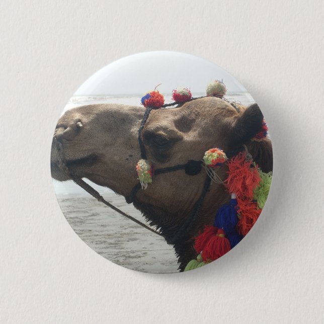 Oman Muscat Camel Photo Art Skriv ut Knapp (Framsida)