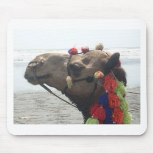 Oman Muscat Camel Photo Art Skriv ut Musmatta