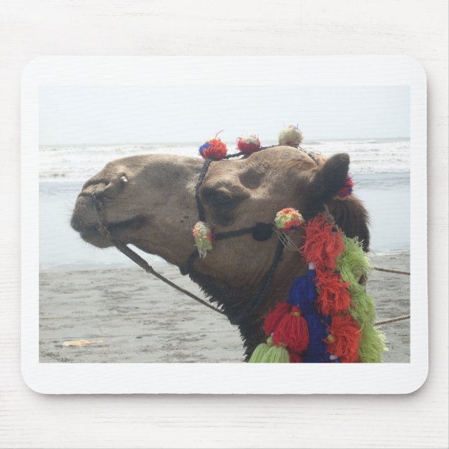 Oman Muscat Camel Photo Art Skriv ut Musmatta (Framsidan)