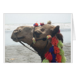 Oman! Muscat Hälsningskort