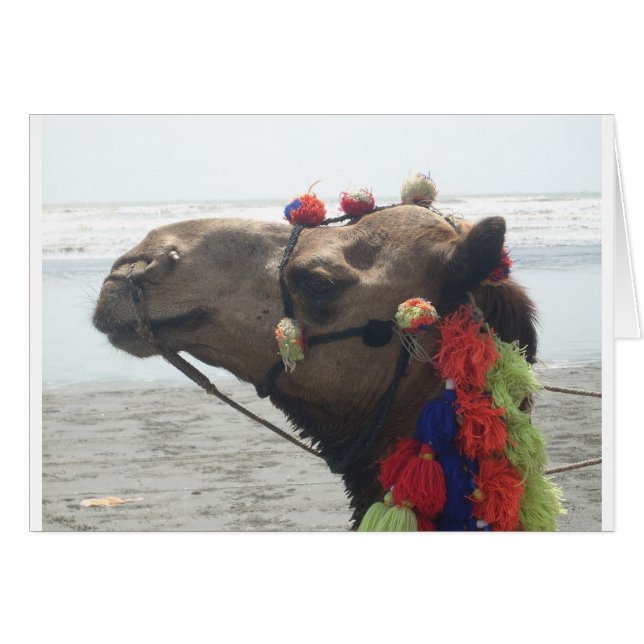 Oman! Muscat Hälsningskort (Framsidan Horizontal)