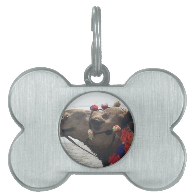 Oman! Muscat Namnbricka Husdjur (Framsidan)