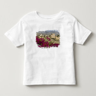 Oman, Västra Hajar-bergen, Al Hamra. Stad T Shirt