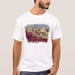 Oman, Västra Hajar-bergen, Al Hamra. Stad Tee
