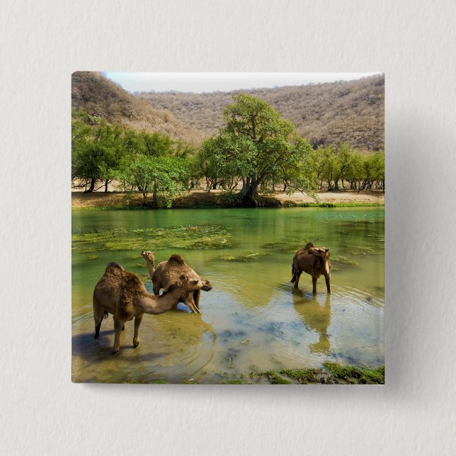 Oman, Wadi darbat Knapp (Framsida)