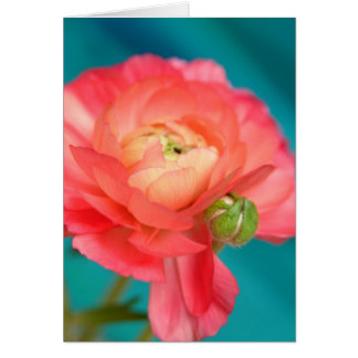 omänsklig med kväve hälsningskort