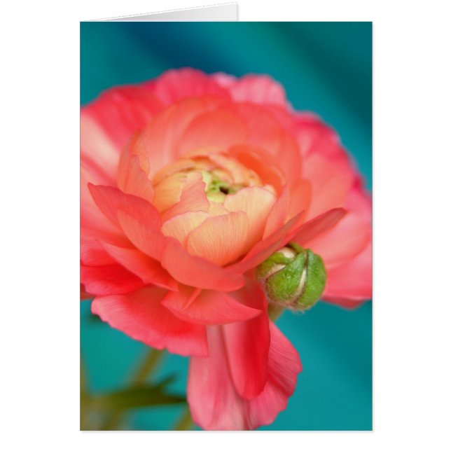 omänsklig med kväve hälsningskort (Framsidan)