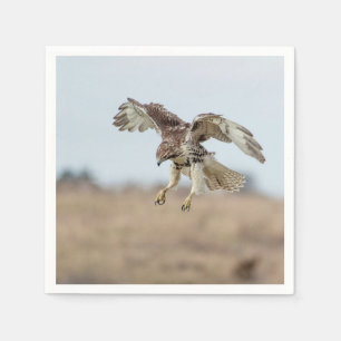 Omatrigen röd tail Hawk Hovering Pappersservett
