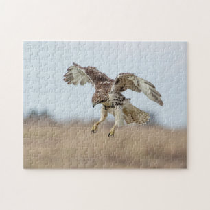 Omatrigen röd tail Hawk Hovering Pussel