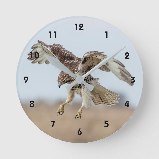 Omatrigen röd tail Hawk Hovering Rund Klocka (Framsida)