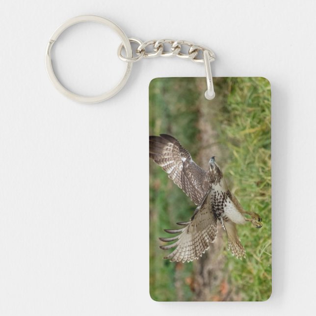 Omatur Red Tailk Hawk (Framsidan)