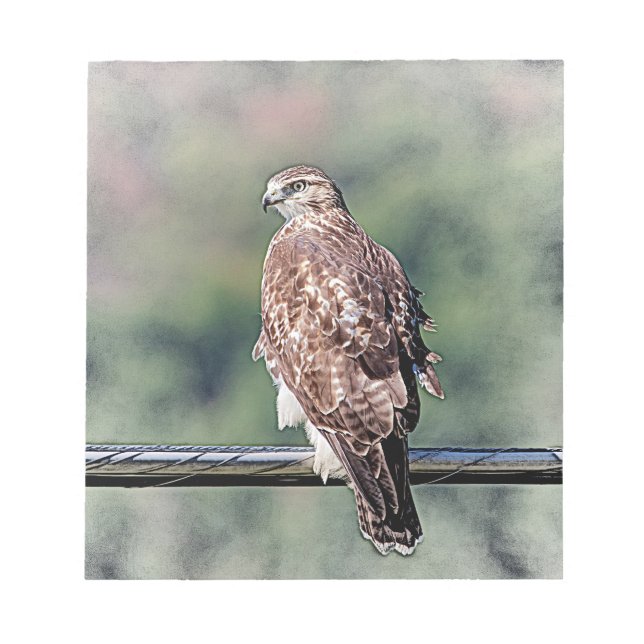 Omatur Red Tailk Hawk Anteckningsblock (Framsida)