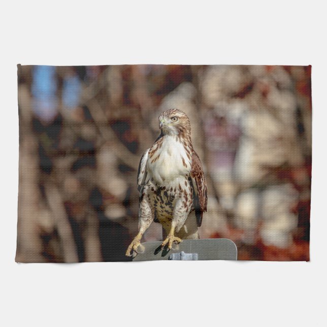 Omatur Red Tailk Hawk Kökshandduk (Horisontell)