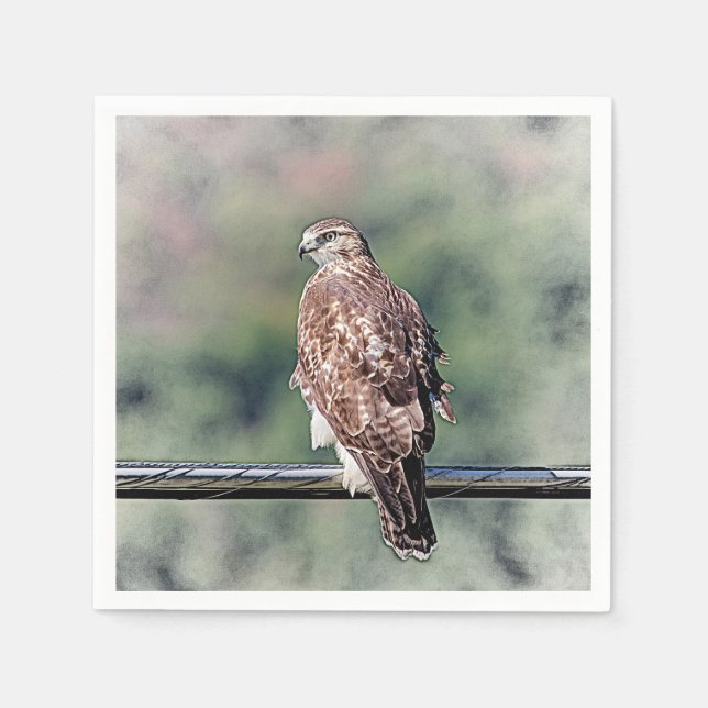 Omatur Red Tailk Hawk Pappersservett (Framsidan)